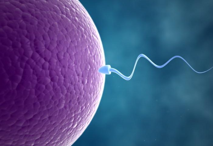 Infertility: An Overview